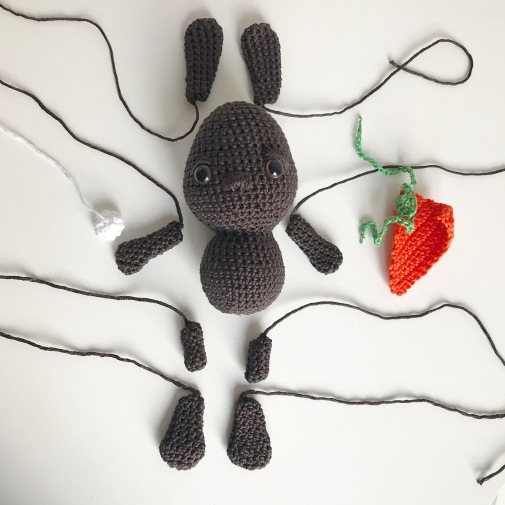 Crochet a Bunny